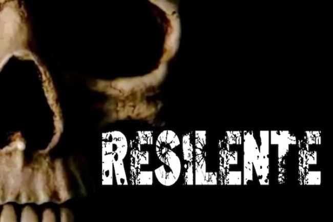 Resilente_grafikoa.jpg
