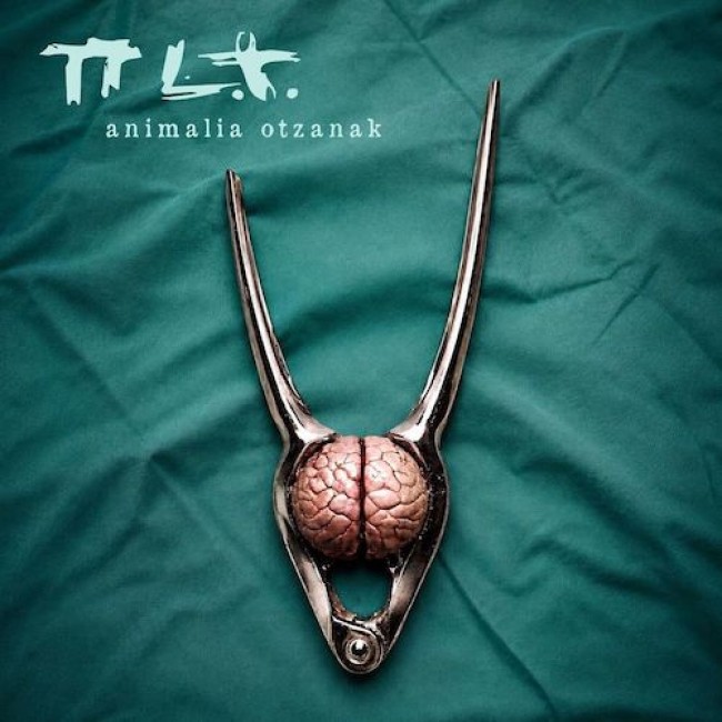 pilt-single1.jpg